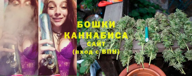 Конопля Amnesia  blacksprut ссылки  Кукмор  продажа наркотиков 